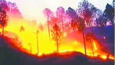 burning forest in Bageshwar