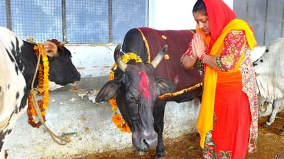 police arrested four people in cow slaughtering