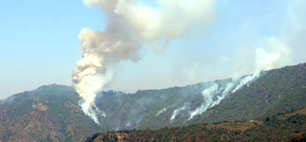fire in himachal forest, alert after heavy loss.