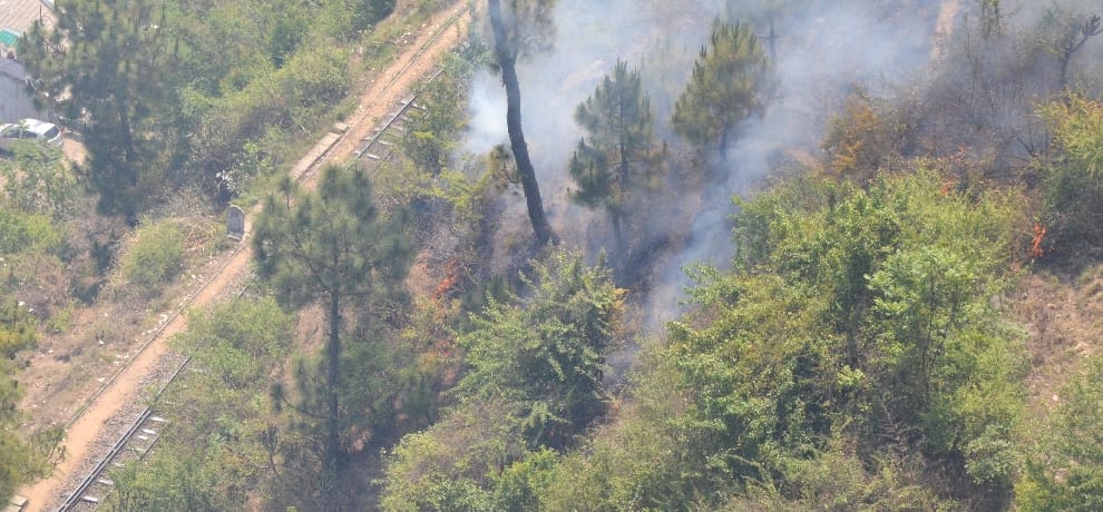 fire in himachal forest, alert after heavy loss.
