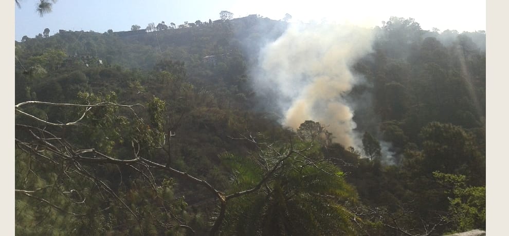 fire in himachal forest, alert after heavy loss.