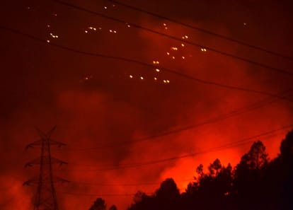 6000 labor working for preventing wildfire in uttarakhand
