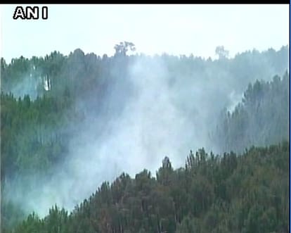 massive fire breaks out in loc forest areas