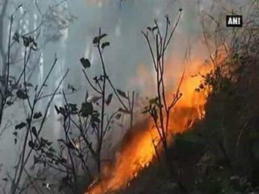 जंगल में आग