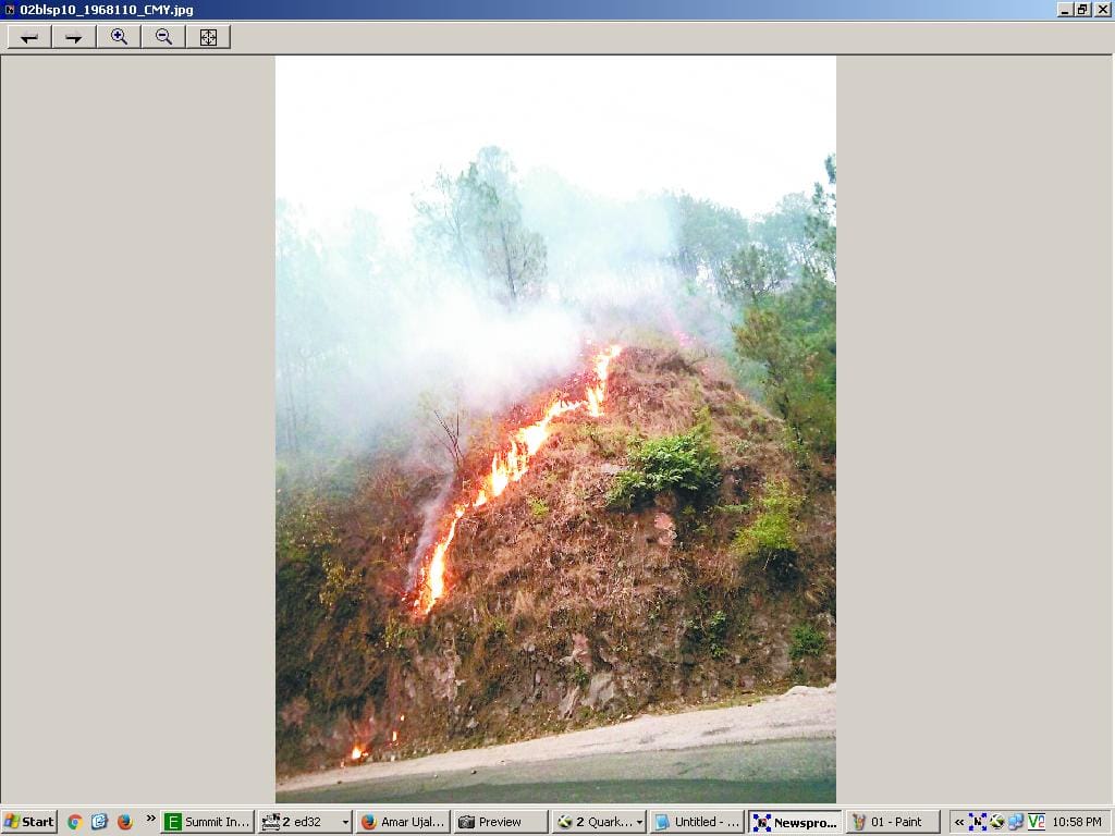 wildfire due to forest department carelessness