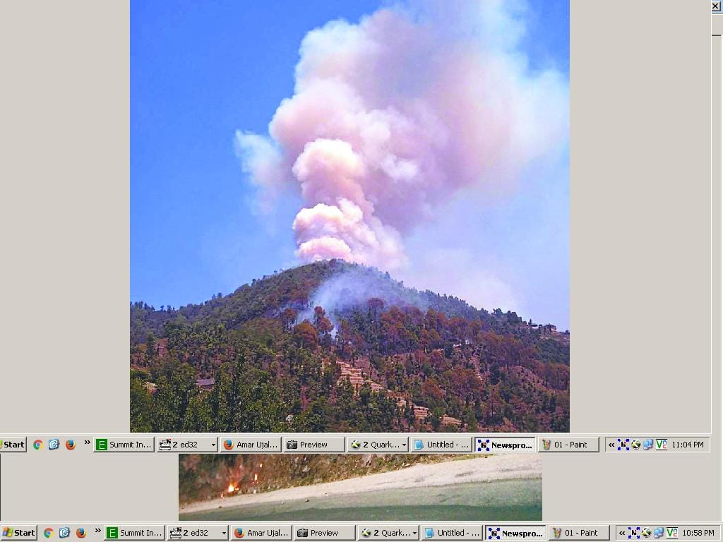 foresr fire thousands tree burnt in mandi