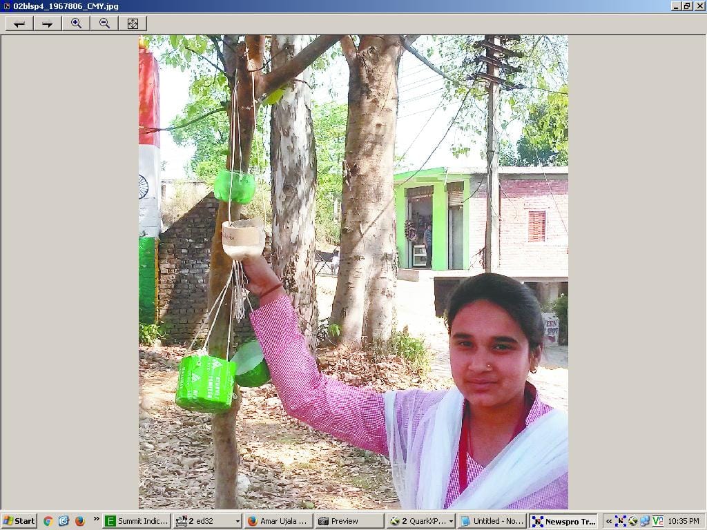 to save the birds student started campain
