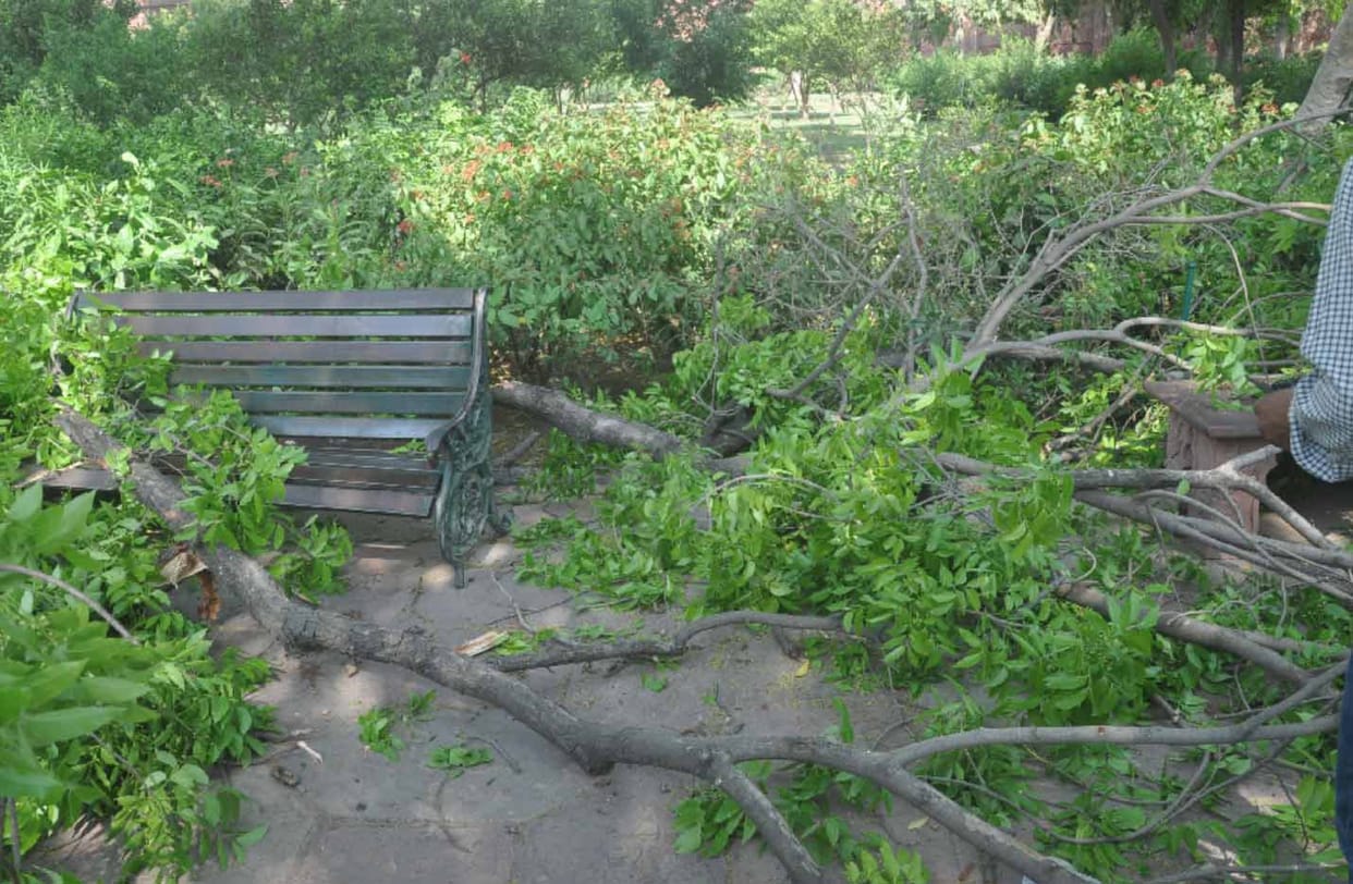 Tree branch falls in Taj Mahal, four tourists injured.