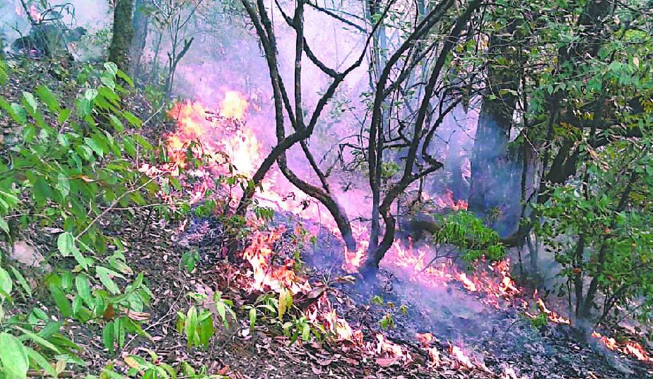 90 per cent of fires in forests Berinag