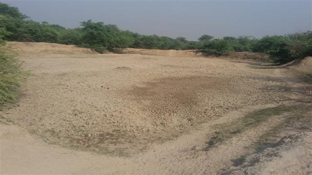 Legislators said we Pilaange water deer