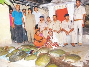 Among twelve tortoises two female smuggler arrested