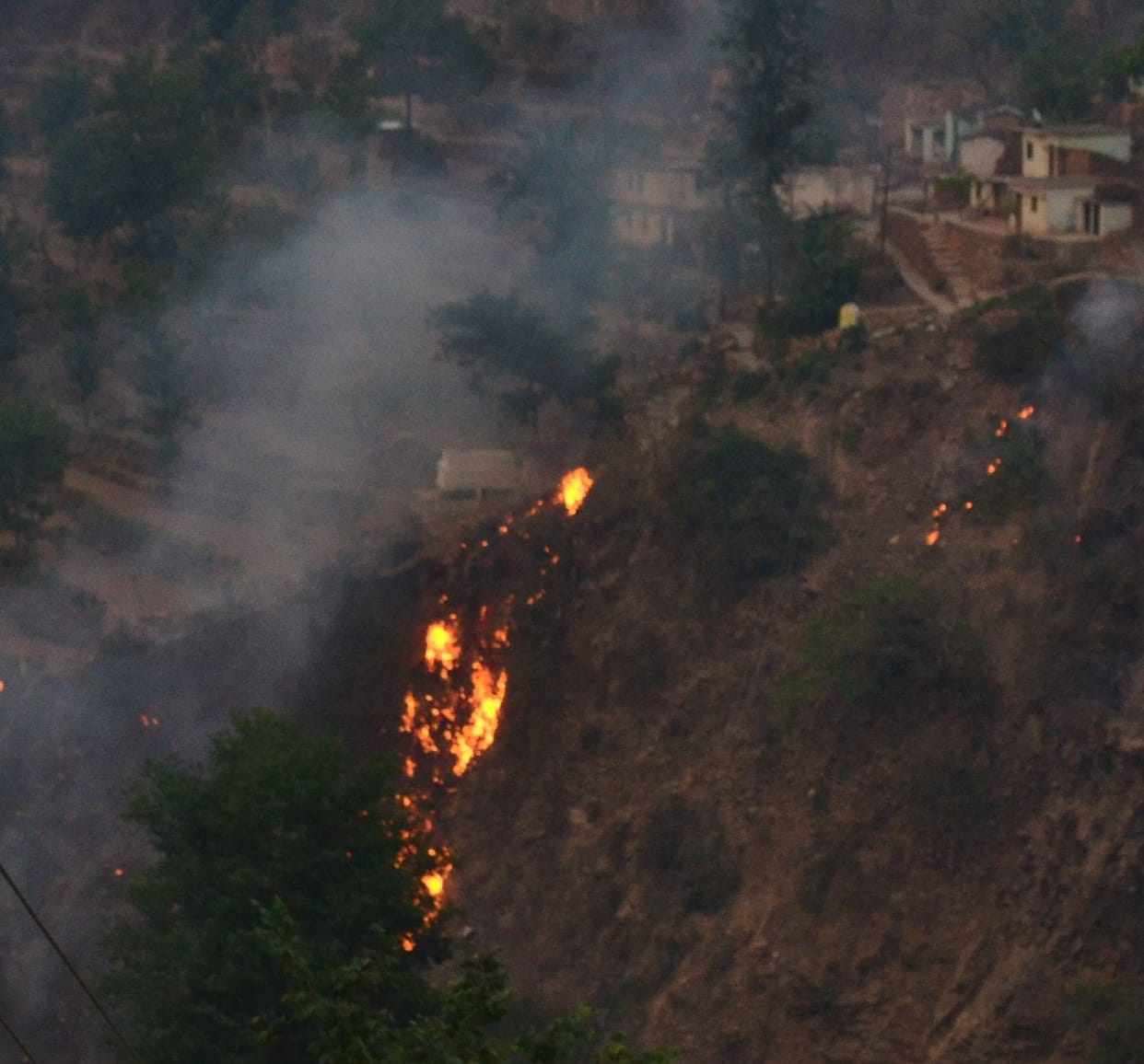 Pabu segment and is engaged in forest fire area