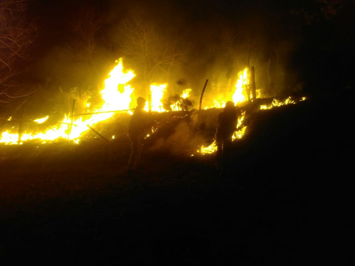 fire in forest in bangana 