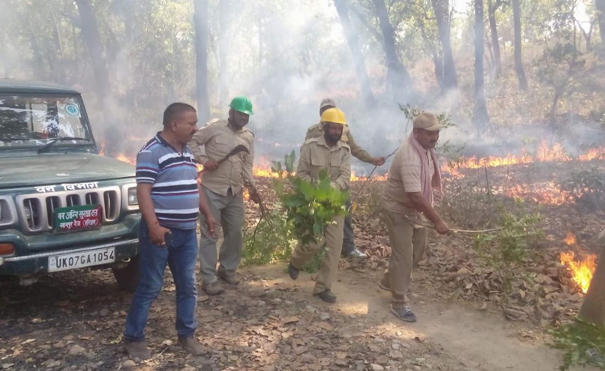 Forest fire, barely contained