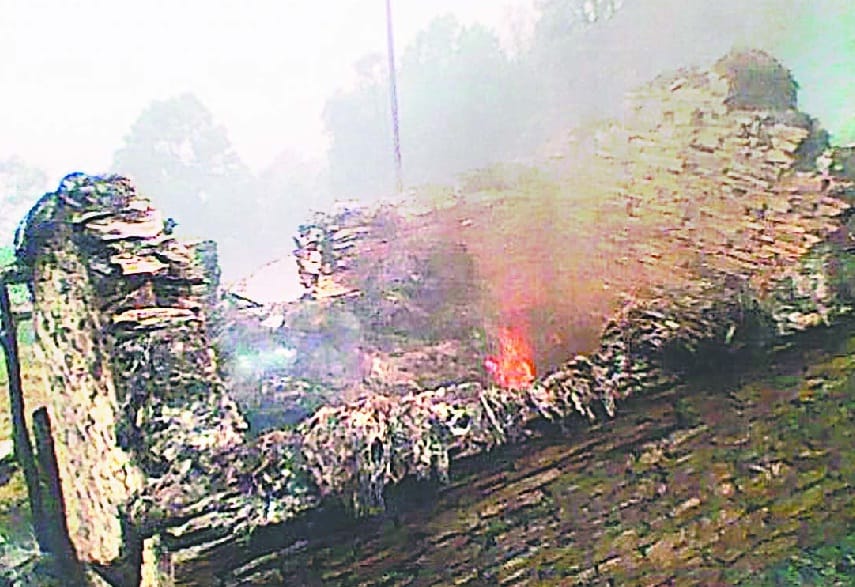 Forest fire, Ranger returned from halfway