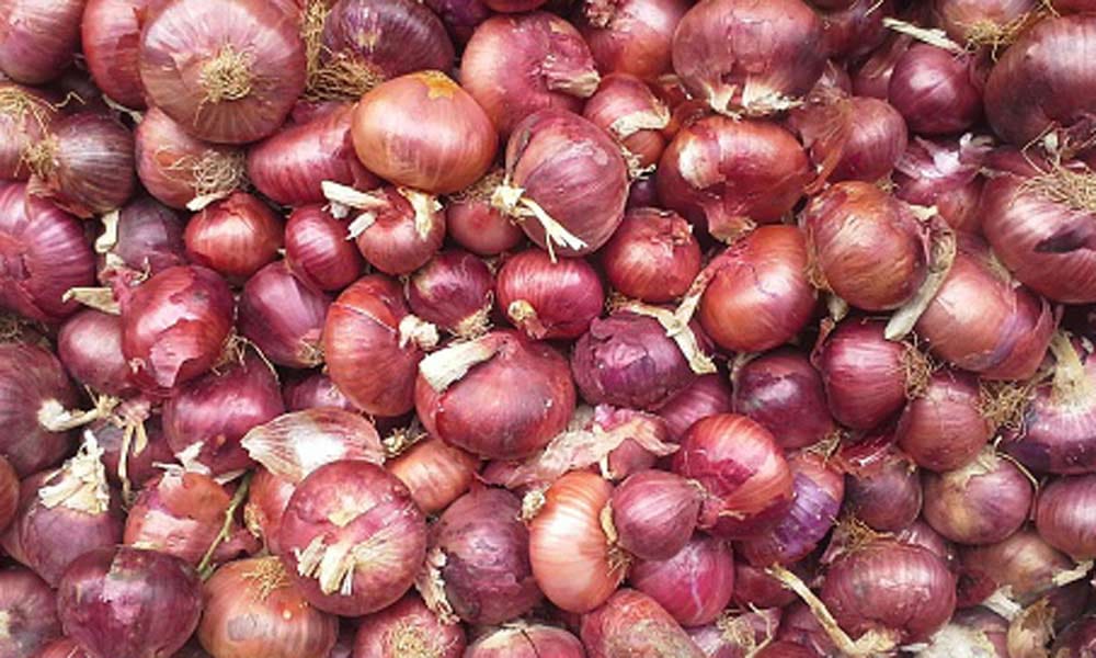 benefits of onion you must know
