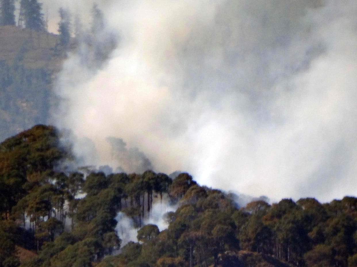 Land erosion due to wildfire in uttarakhand