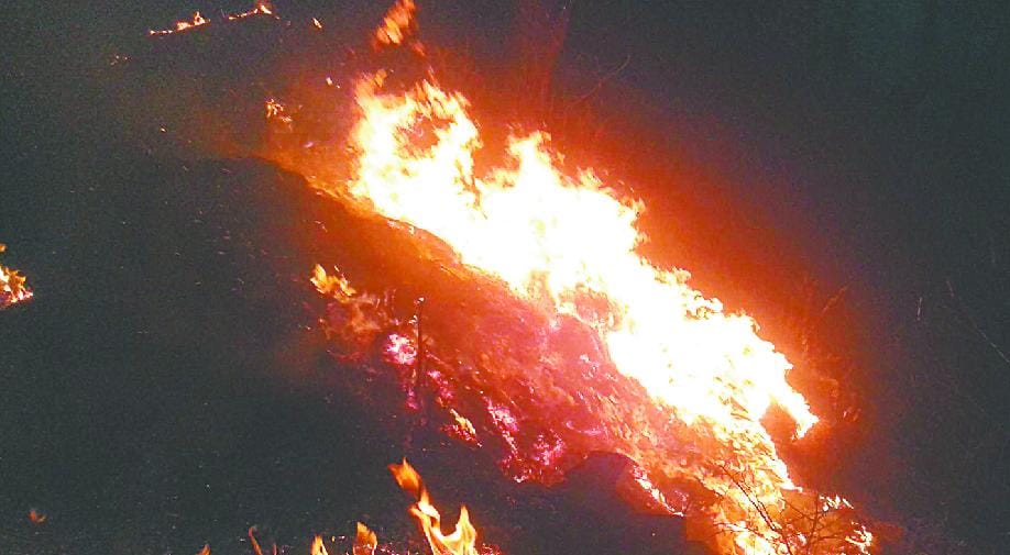 Increased risk of soil erosion in forest fire