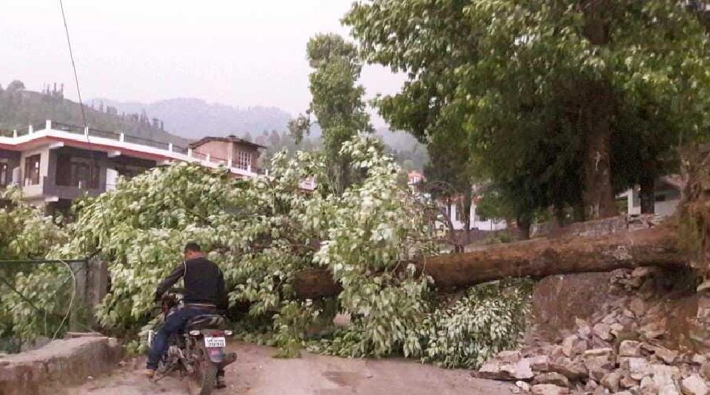 Munsyari, Dharchula, Mdkot rain