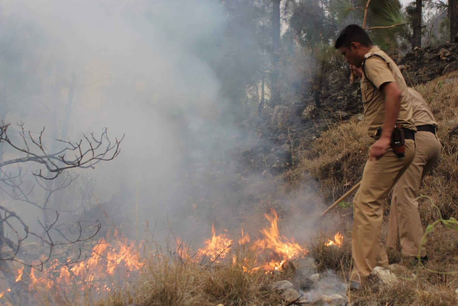 uttarakhand forest fire photo