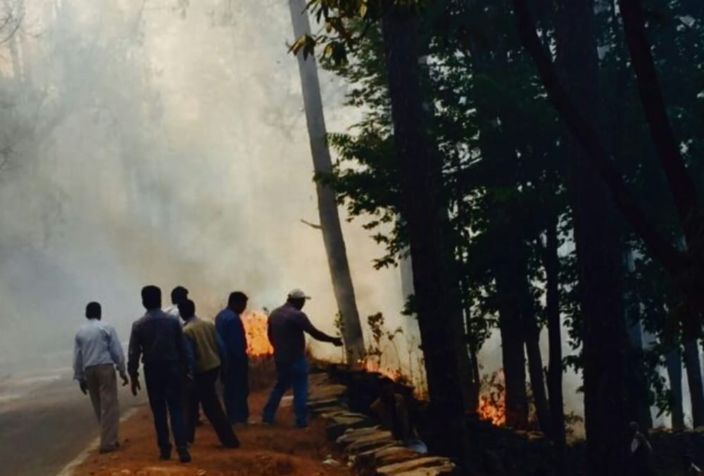 uttarakhand forest fire photo
