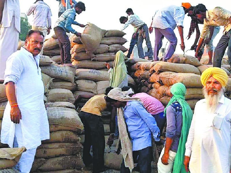 wheat burn, wheat burn pattigrain market, wheat burn to shot circuit, tarantaran, amritsar