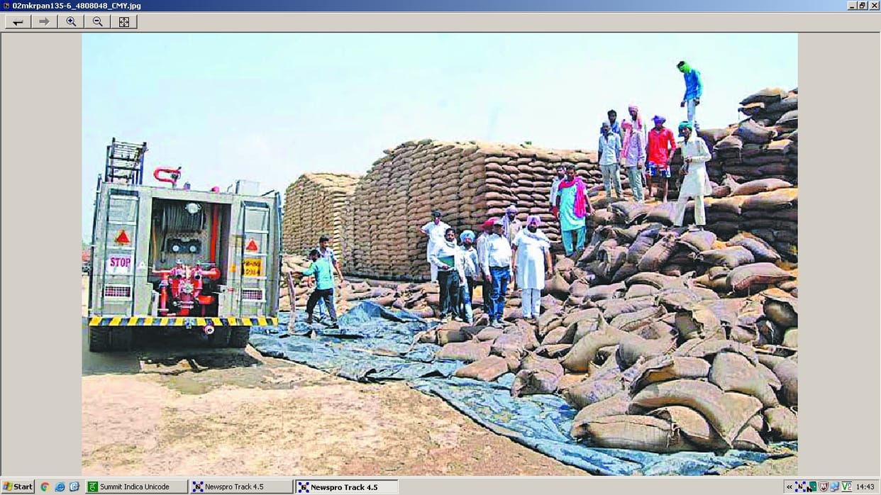 fire at Markfed warehouse, burnt, four thousand wheat bags, muktsar, jalandhar