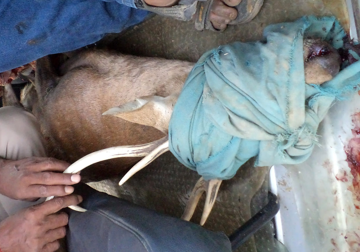 No water system for the animals