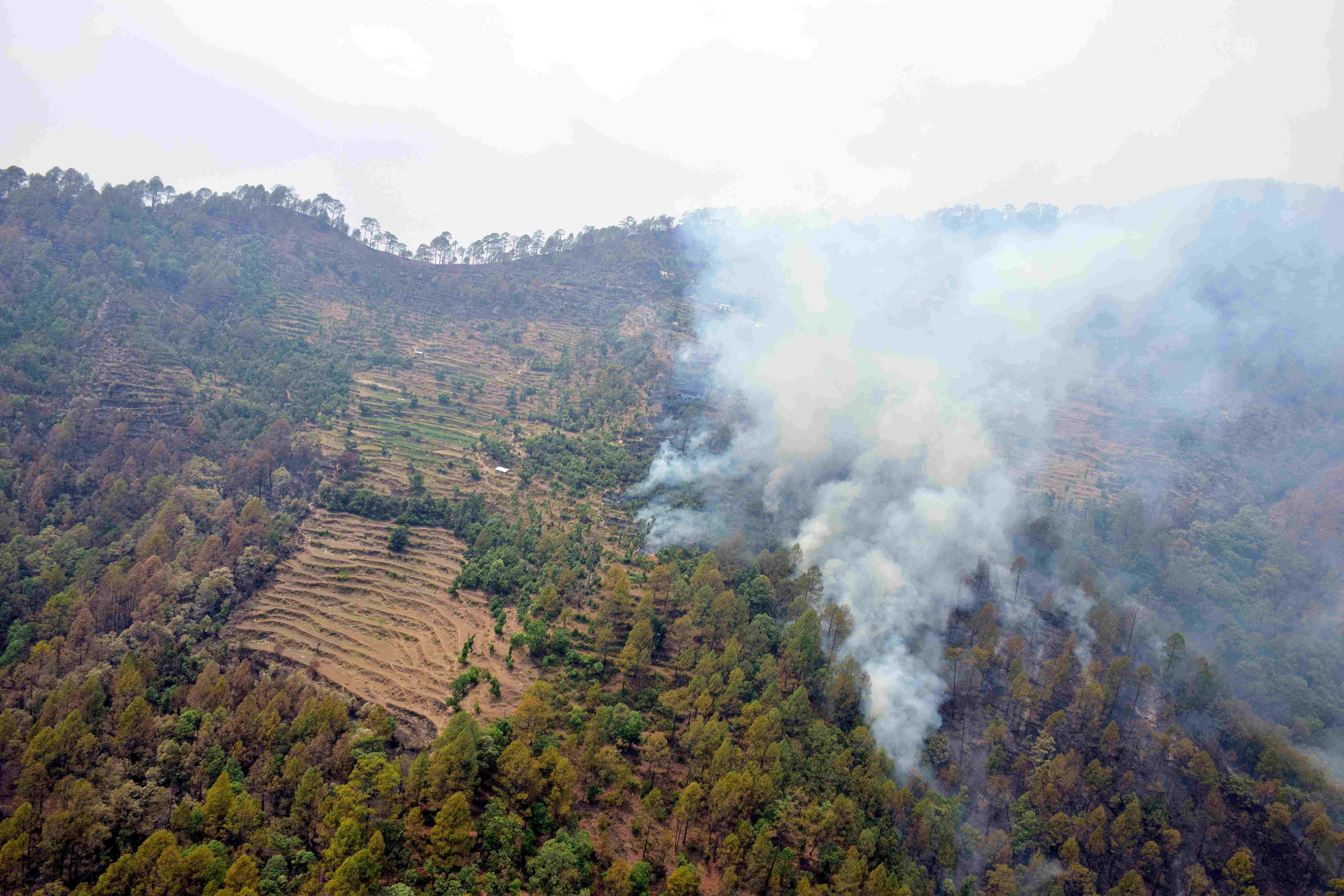 wildfire in harshil forest
