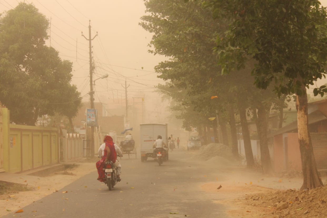 Dust storm season moisture was