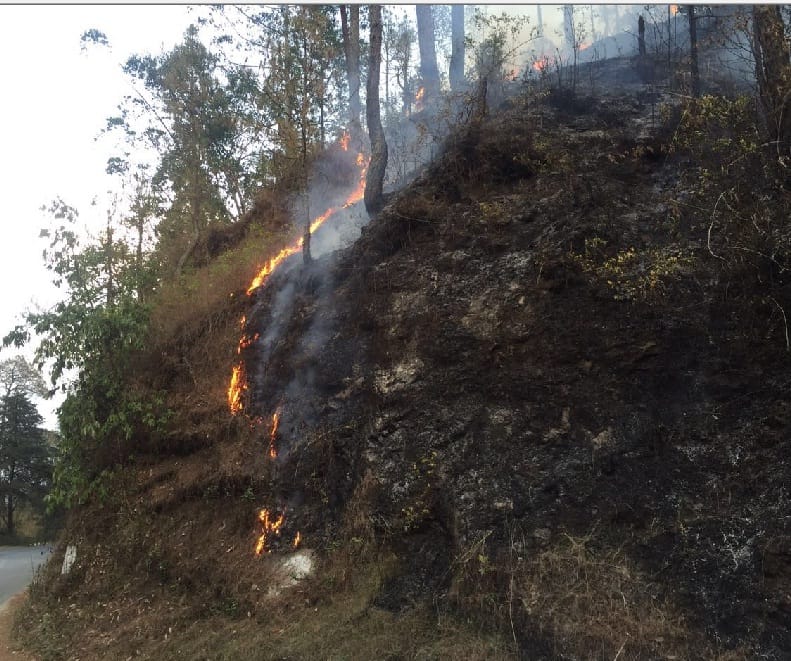 Forest fires not extinguished