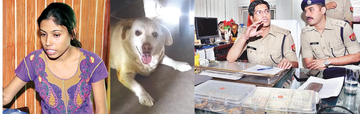 The sniffer dogs, opened the 30 million robbery