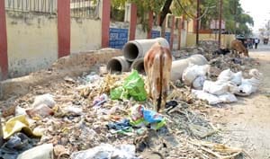 Two hundred metric tons of garbage are piling -rojana