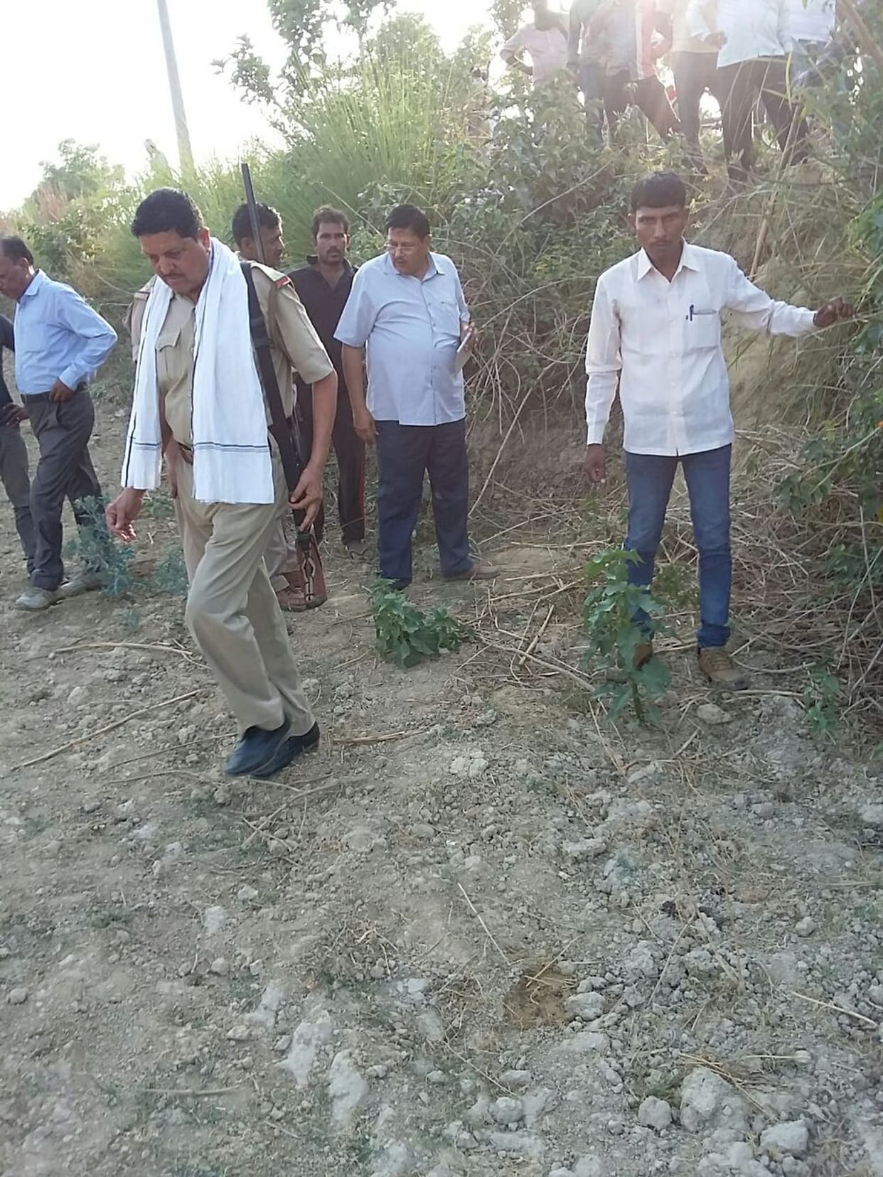 The elderly injured by wild animal attack
