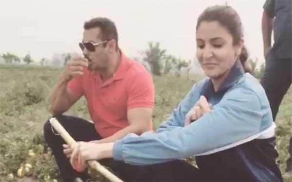 salman khan, anushka sharma, sultan movie shooting, bollywood movie shooting