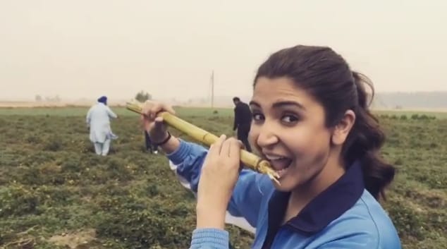 salman khan, anushka sharma, sultan movie shooting, bollywood movie shooting