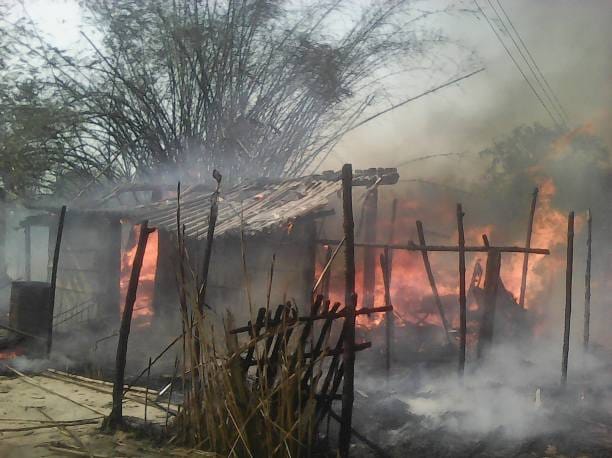six house fire and 20 enimal death