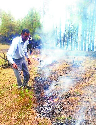 Inspector unconscious quench forest fires, Almora Referee