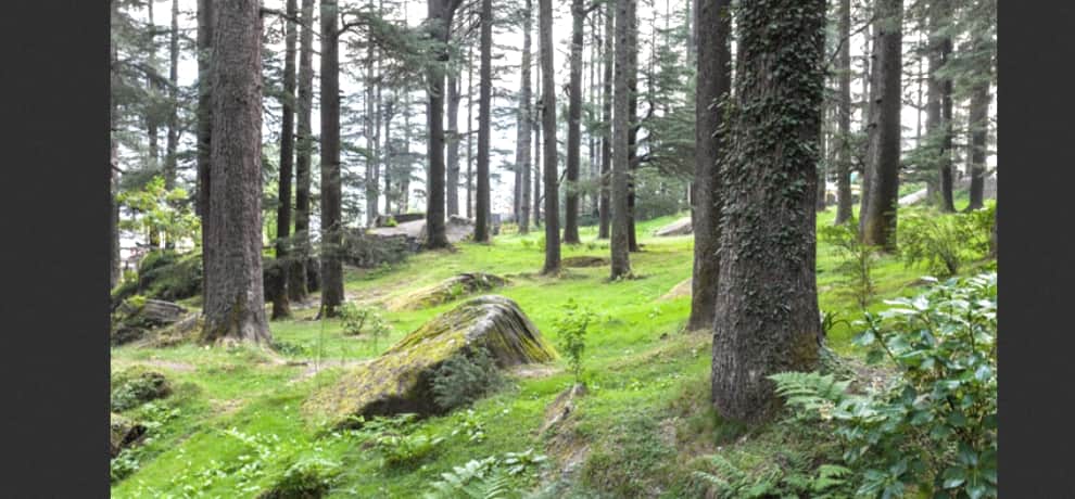jobs in uttarakhand forest department.
