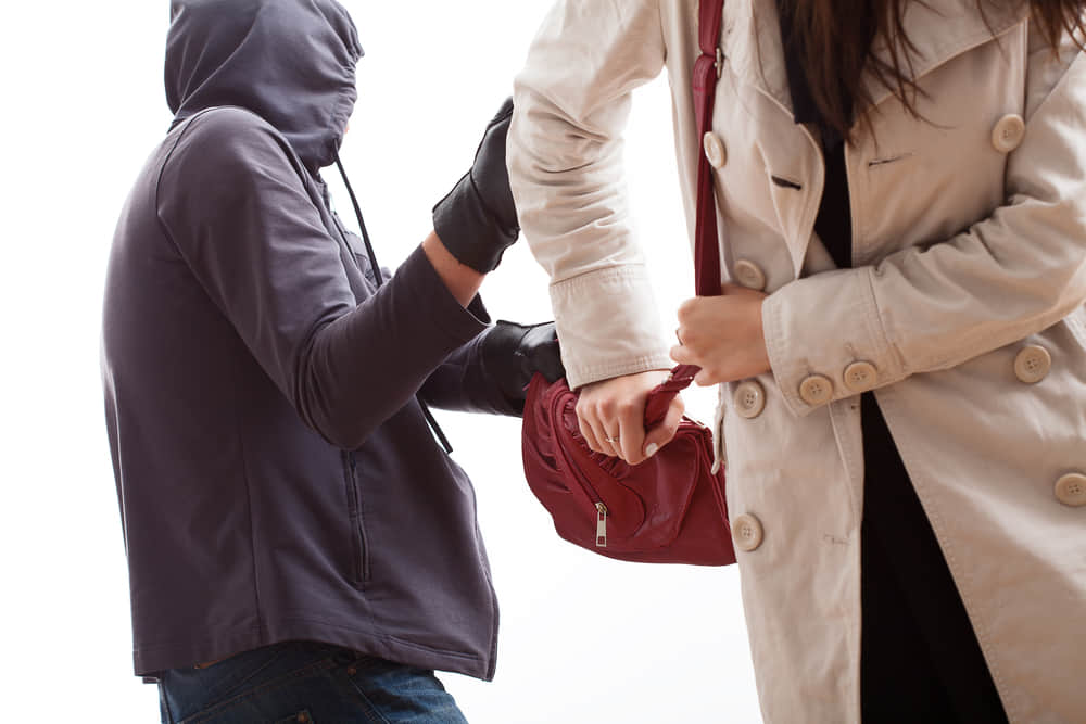 Haryana Government new scheme on Snatchers