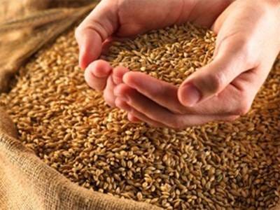 farmer disopointed, lifting fail, tarantaran lifting, tarantaran, amritsar