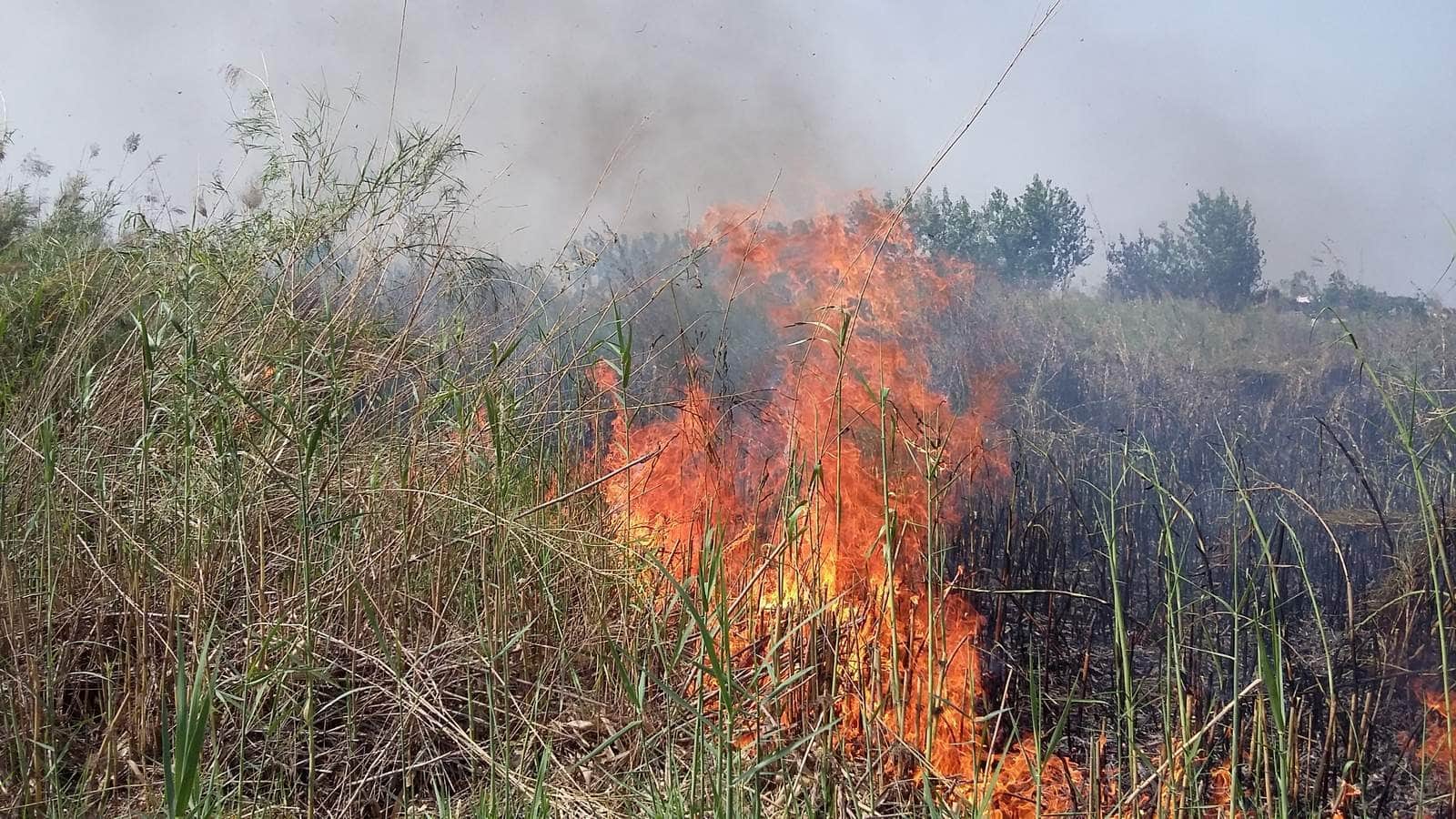 wildfire in harshil forest