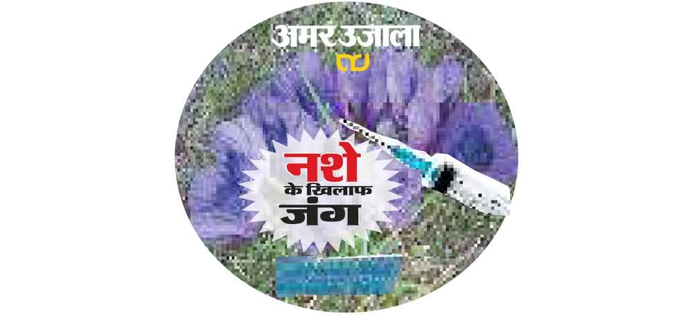 amar ujala campaign against drug smugglers in himachal