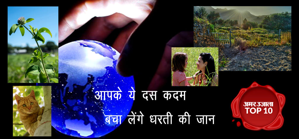 steps to save environment