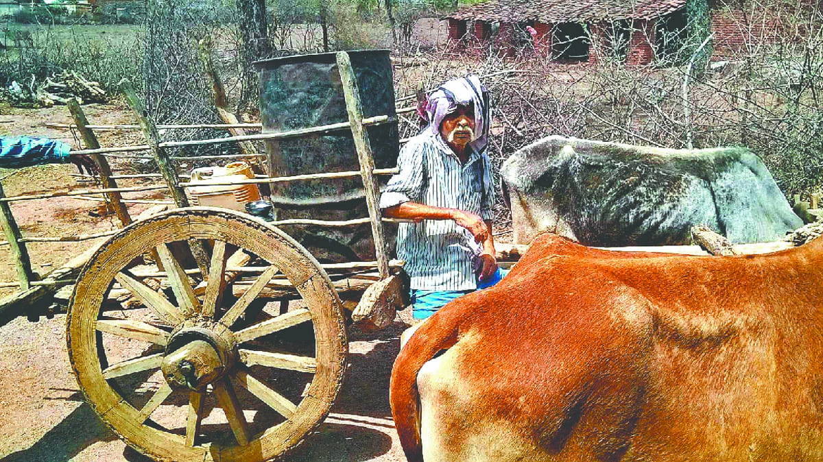 Arvind Kejriwal, Nitish Kumar. Farmers, suicide, Jtthebandi, Patiala
