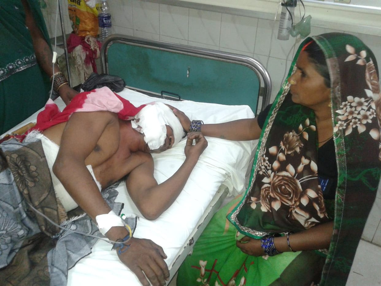 Father-son injured in the wild pig attack