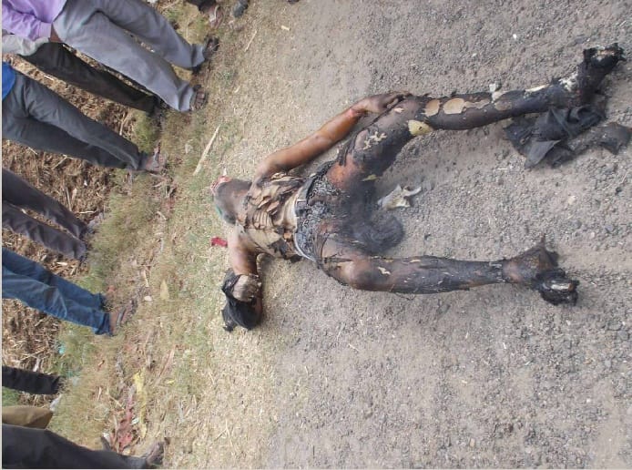 Truck driver burnt alive