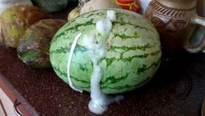 Health can snitch , fresh -looking watermelon