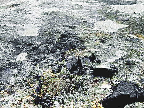 Storm water 15 feet between the ground cracked