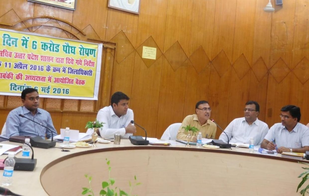 Nine Million saplings will be planted in one day